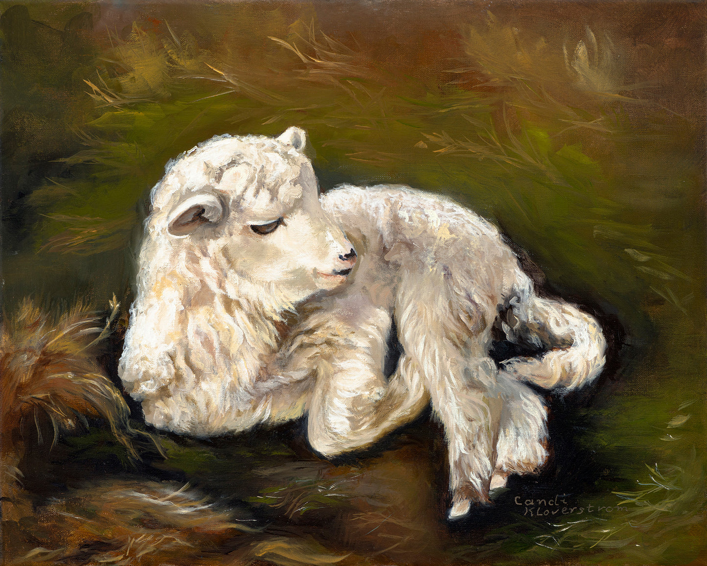 Lamb of God Original Christian Oil Painting Jesus Lamb Artwork by Candi Kloverstrom
