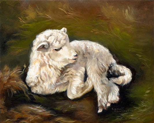 Lamb of God Original Christian Oil Painting Jesus Lamb Artwork by Candi Kloverstrom